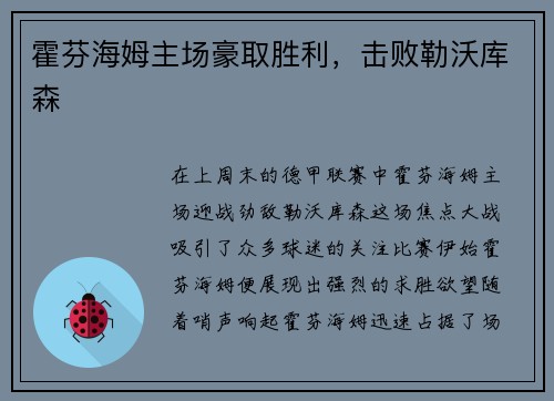 霍芬海姆主场豪取胜利，击败勒沃库森